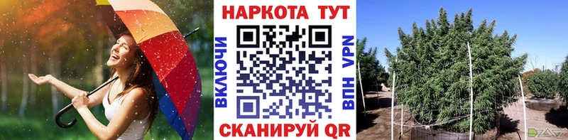 Виды наркоты Полтавская Амфетамин Гашиш Конопля Alpha-PVP