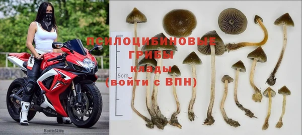 хмурый Белая Калитва